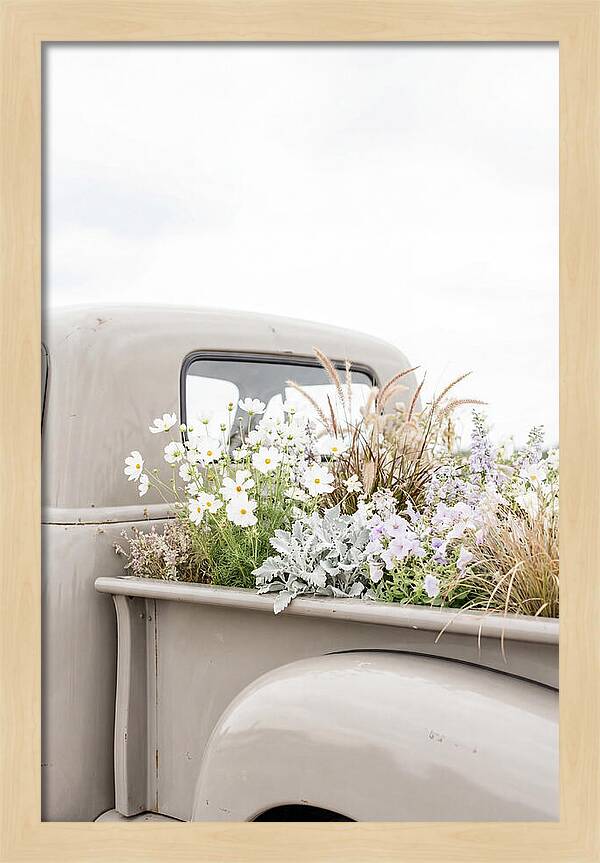 Vintage Truck Bed Filled With Flowers