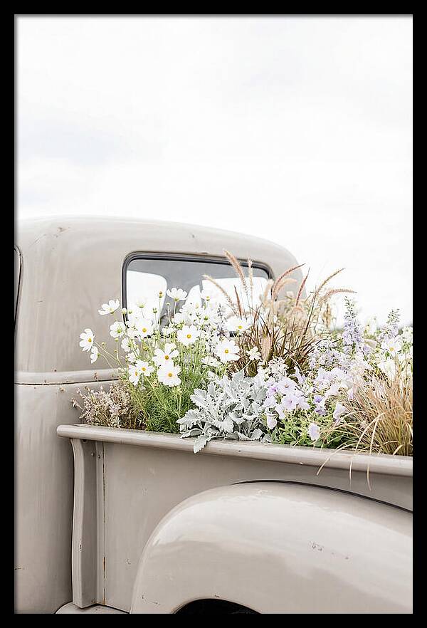 Vintage Truck Bed Filled With Flowers