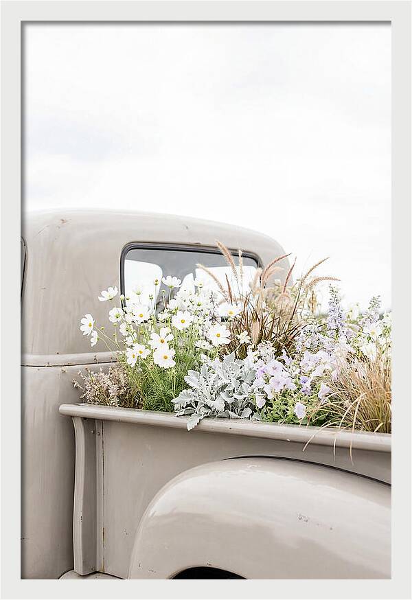 Vintage Truck Bed Filled With Flowers