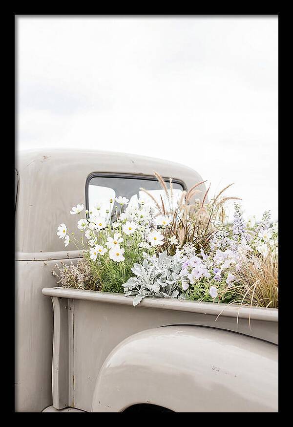 Vintage Truck Bed Filled With Flowers