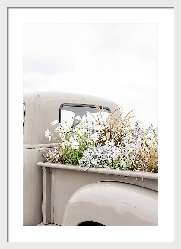 Vintage Truck Bed Filled With Flowers