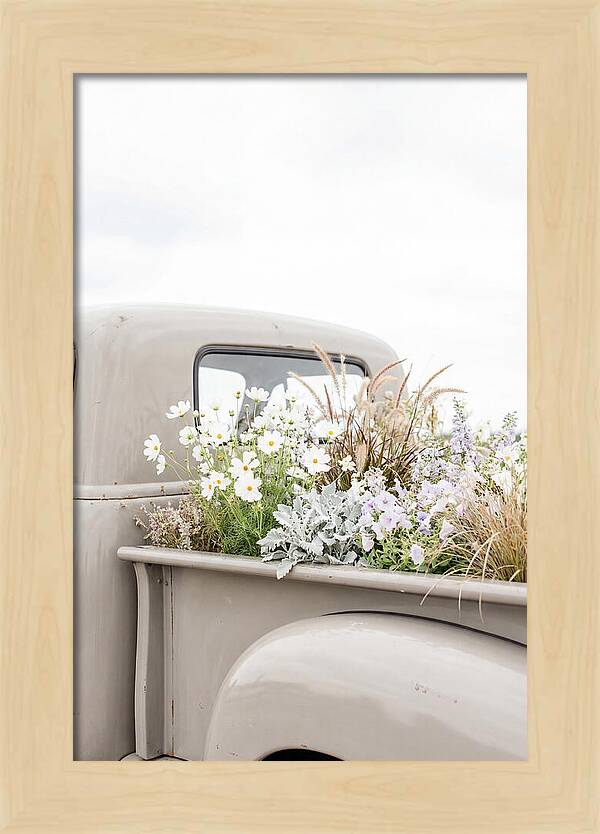 Vintage Truck Bed Filled With Flowers