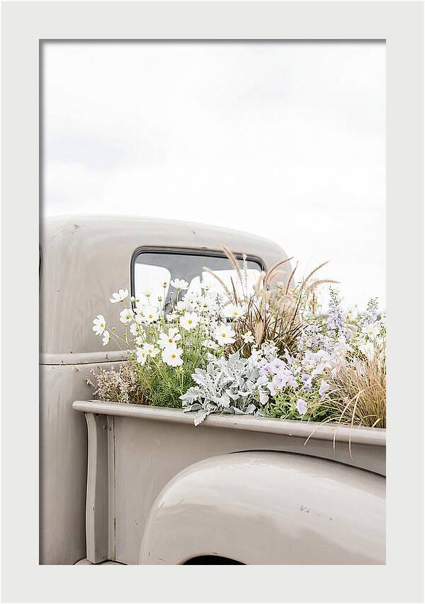 Vintage Truck Bed Filled With Flowers