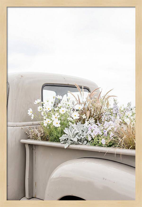 Vintage Truck Bed Filled With Flowers
