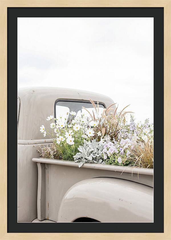 Vintage Truck Bed Filled With Flowers