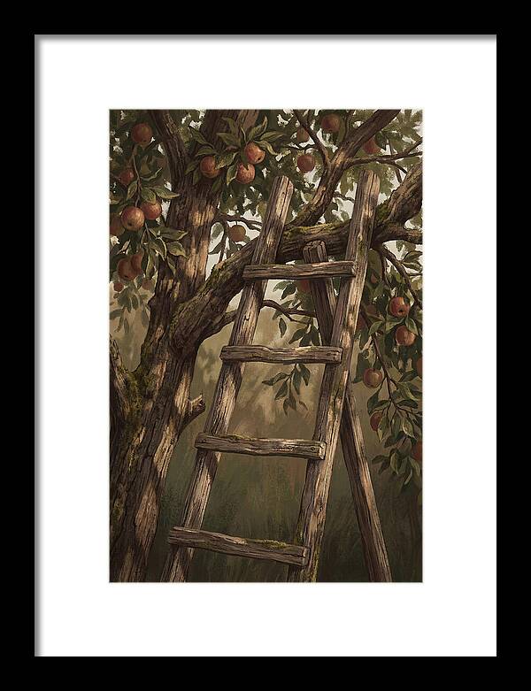 Vintage Wooden Fruit Picking Ladder