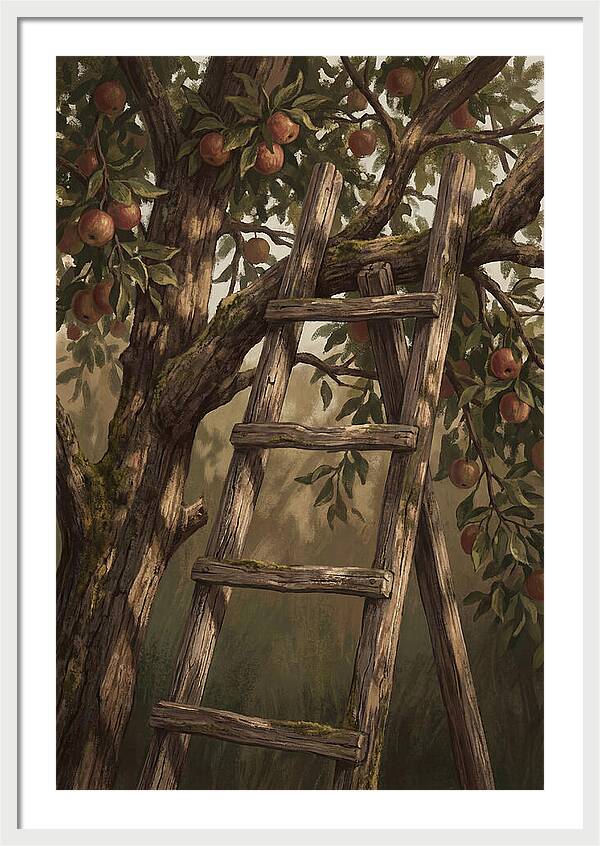 Vintage Wooden Fruit Picking Ladder