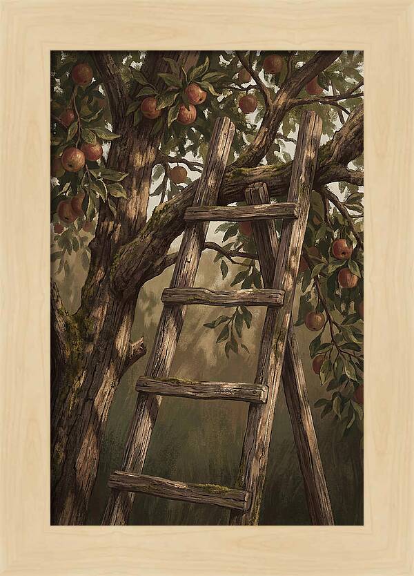 Vintage Wooden Fruit Picking Ladder