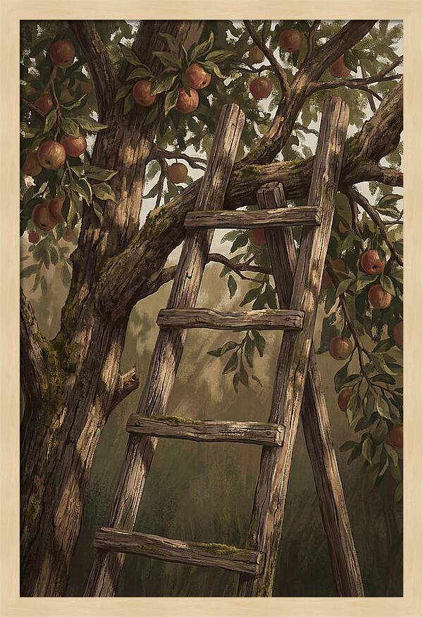 Vintage Wooden Fruit Picking Ladder