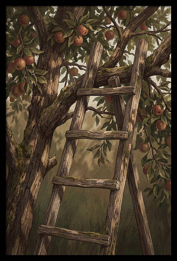 Vintage Wooden Fruit Picking Ladder