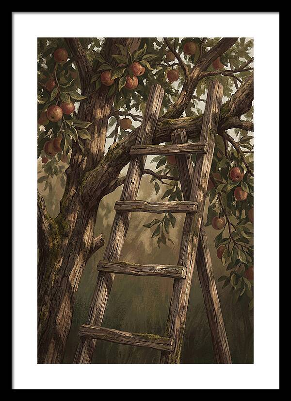 Vintage Wooden Fruit Picking Ladder