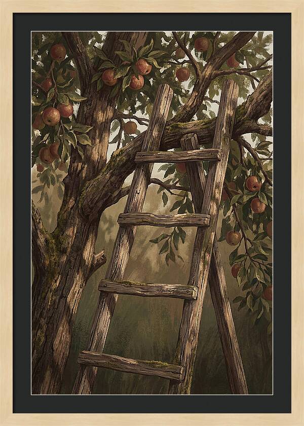 Vintage Wooden Fruit Picking Ladder