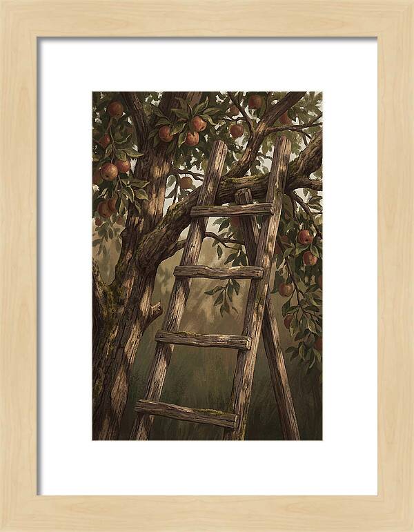 Vintage Wooden Fruit Picking Ladder