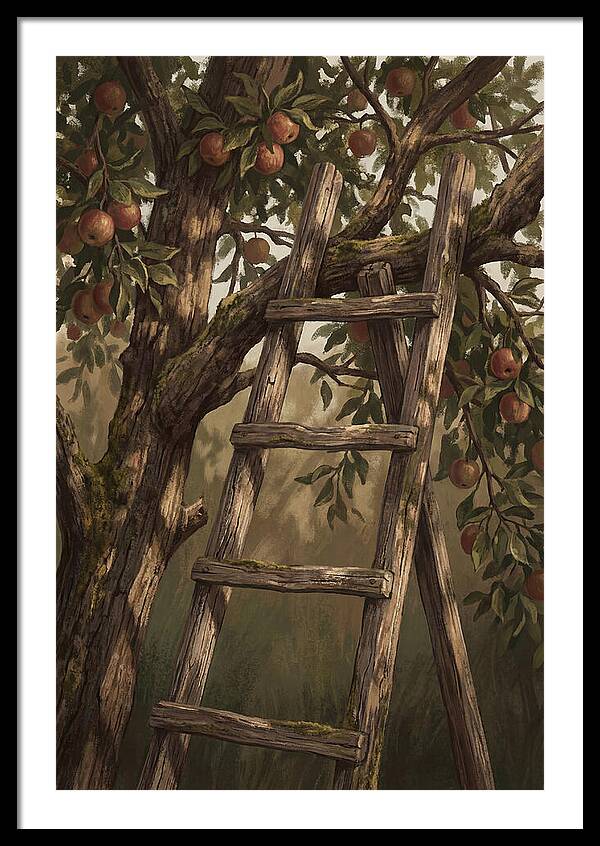 Vintage Wooden Fruit Picking Ladder