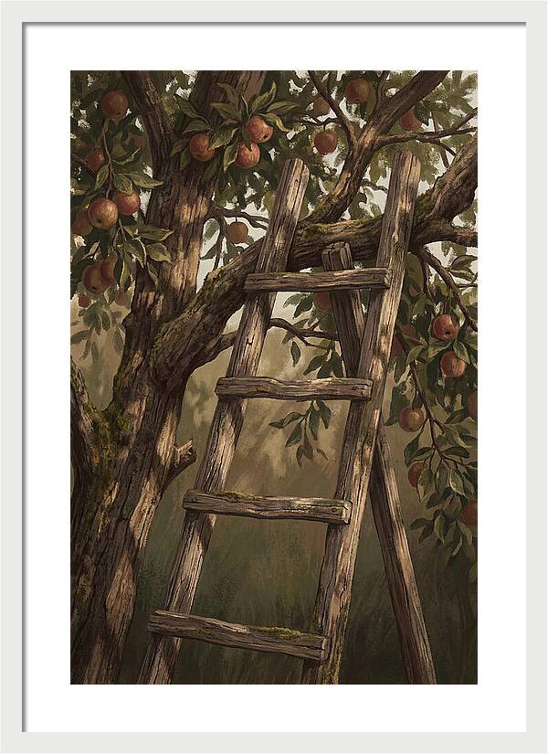 Vintage Wooden Fruit Picking Ladder