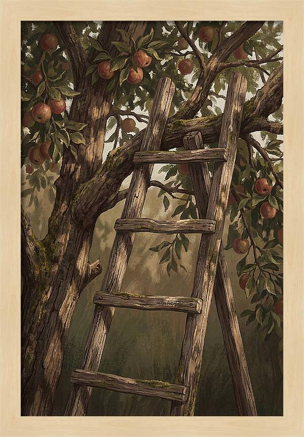 Vintage Wooden Fruit Picking Ladder