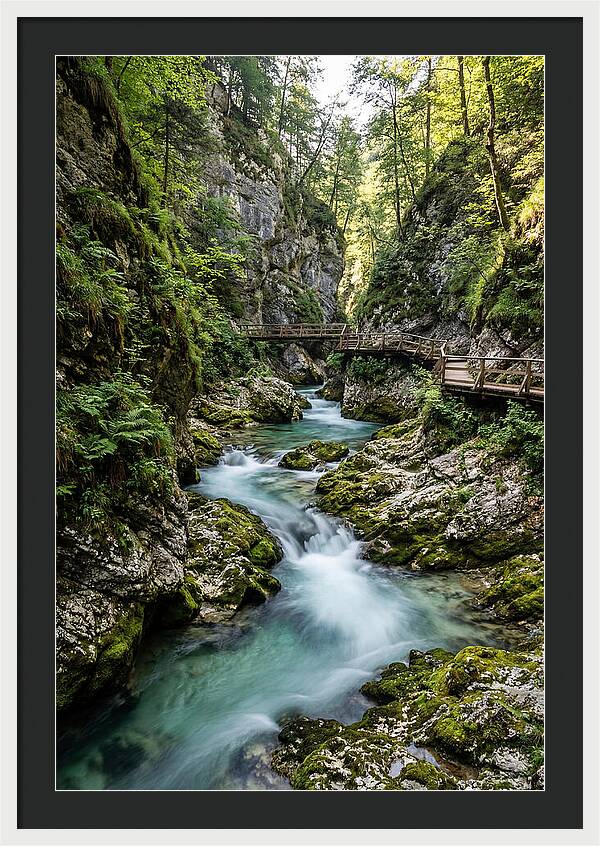 Vintgar Gorge Serenity