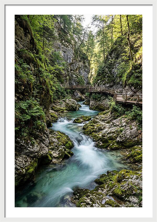 Vintgar Gorge Serenity