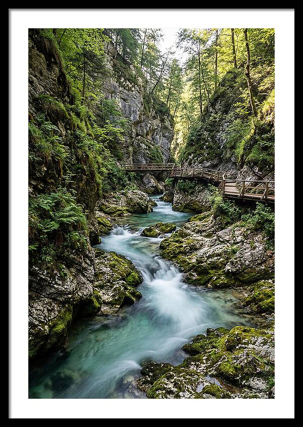 Vintgar Gorge Serenity
