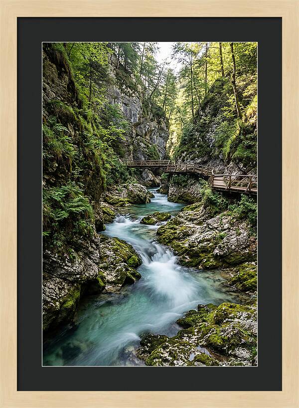 Vintgar Gorge Serenity