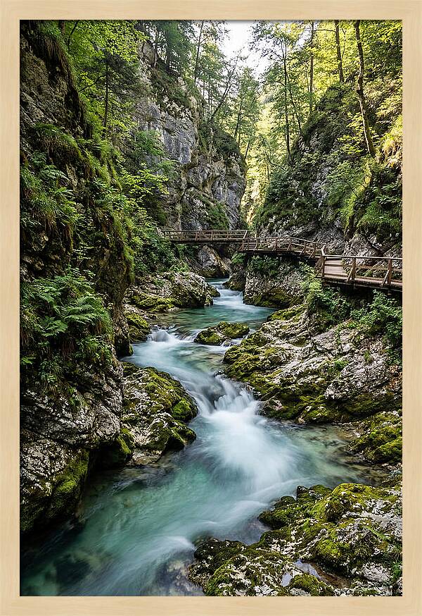 Vintgar Gorge Serenity
