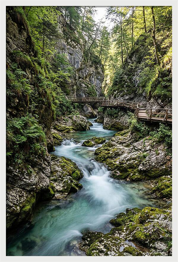 Vintgar Gorge Serenity