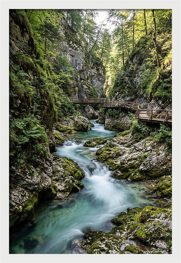 Vintgar Gorge Serenity