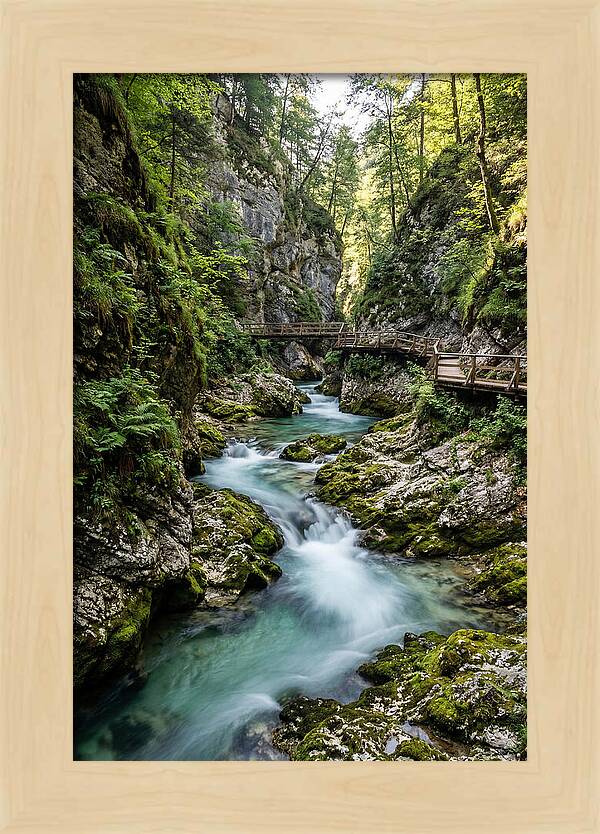 Vintgar Gorge Serenity
