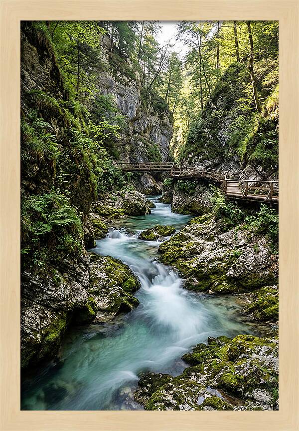 Vintgar Gorge Serenity