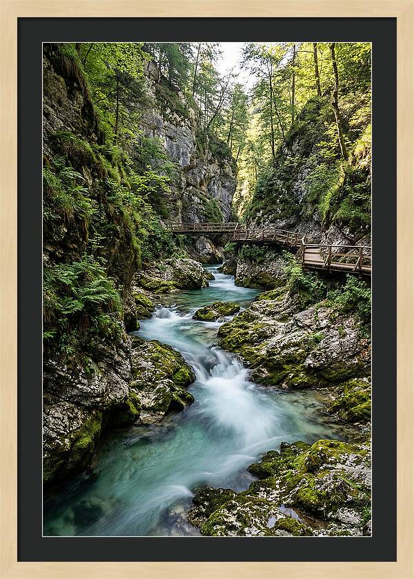 Vintgar Gorge Serenity