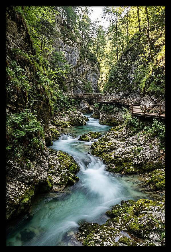 Vintgar Gorge Serenity