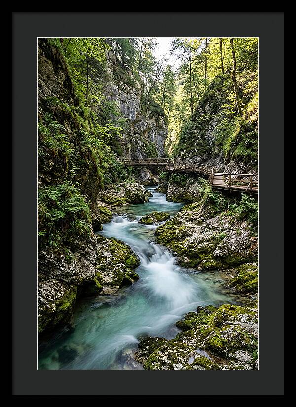 Vintgar Gorge Serenity