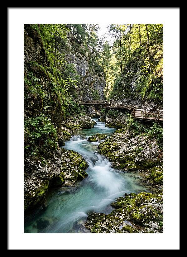 Vintgar Gorge Serenity