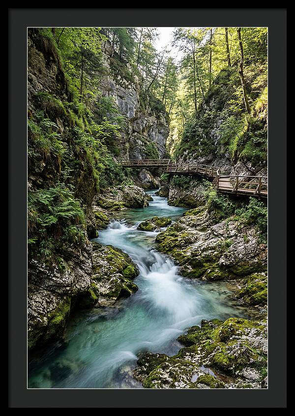 Vintgar Gorge Serenity