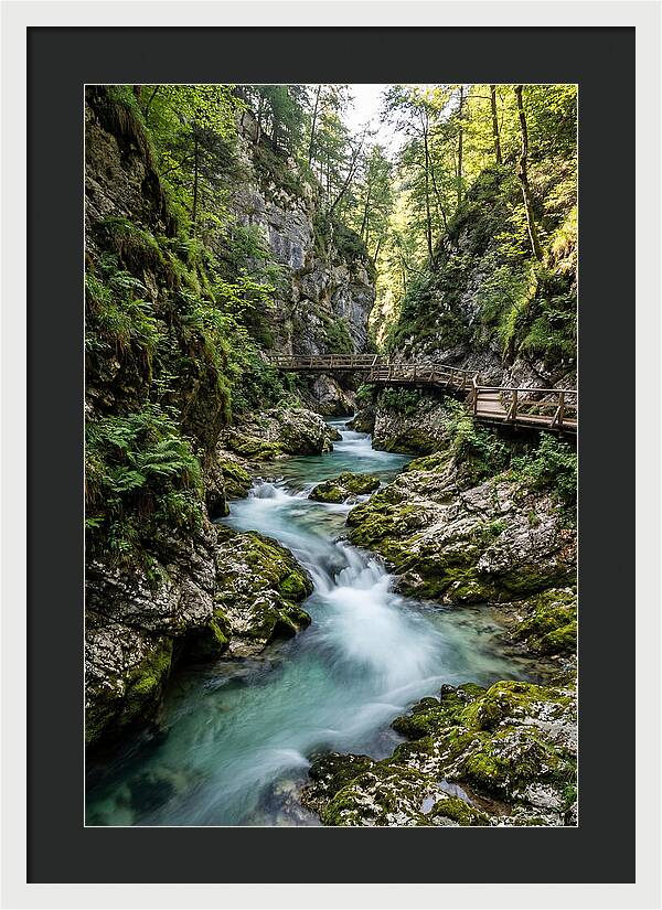 Vintgar Gorge Serenity