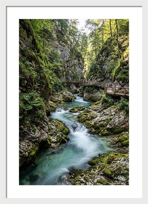 Vintgar Gorge Serenity