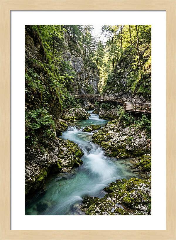Vintgar Gorge Serenity