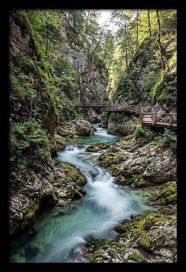 Vintgar Gorge Serenity