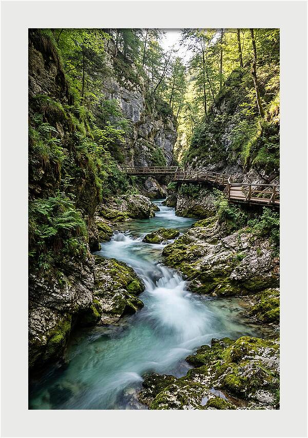 Vintgar Gorge Serenity