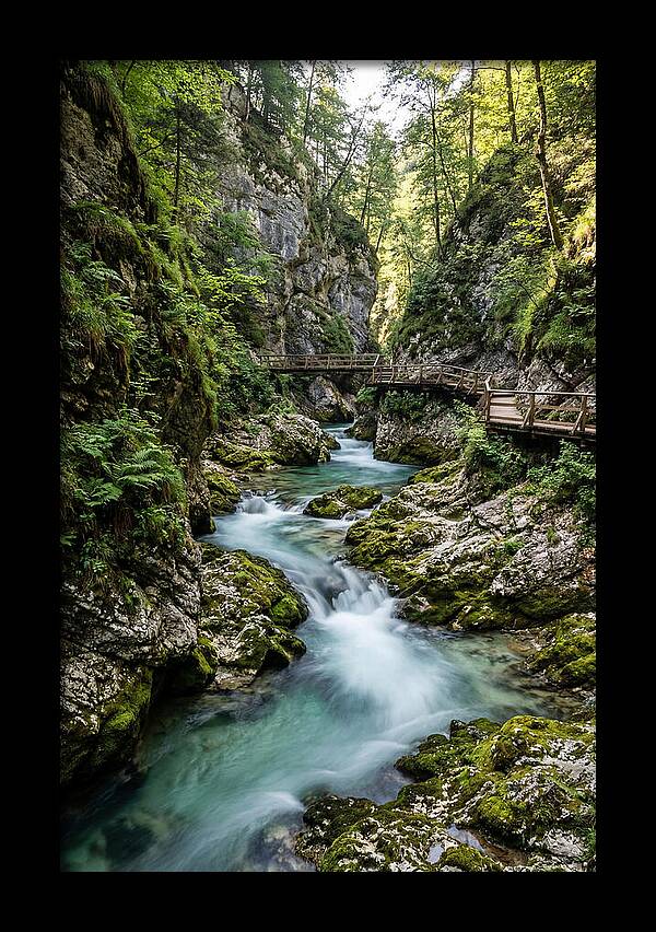 Vintgar Gorge Serenity