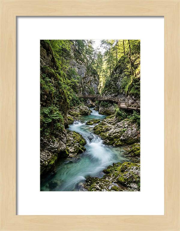 Vintgar Gorge Serenity