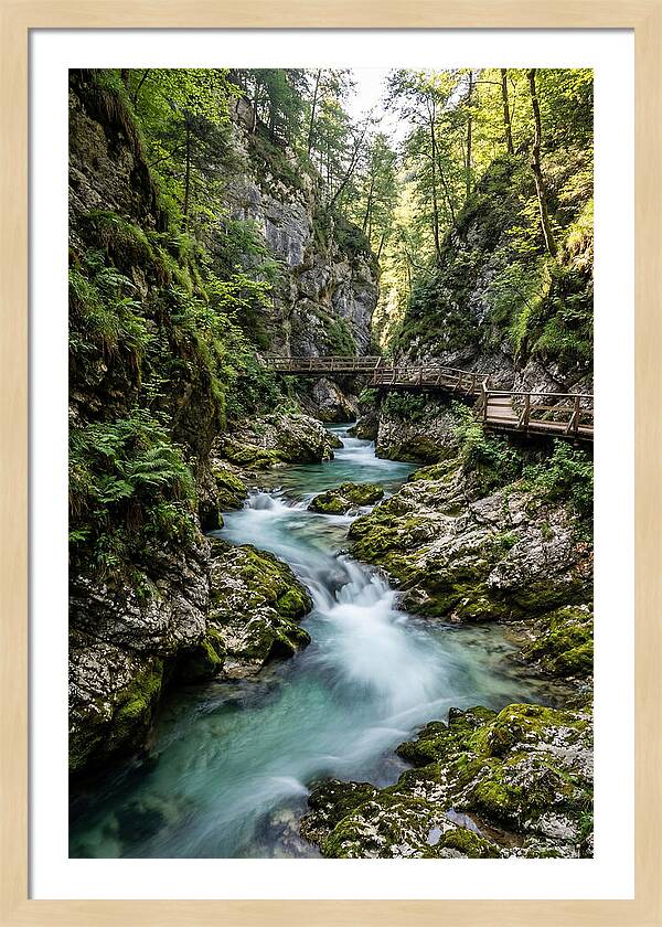 Vintgar Gorge Serenity