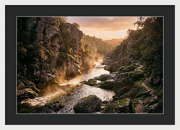 Vintgar Gorge Serenity