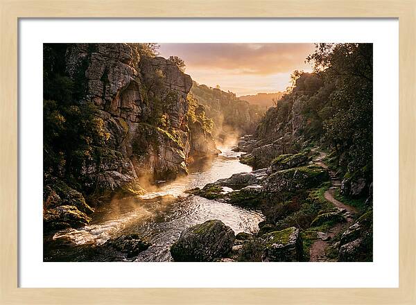 Vintgar Gorge Serenity