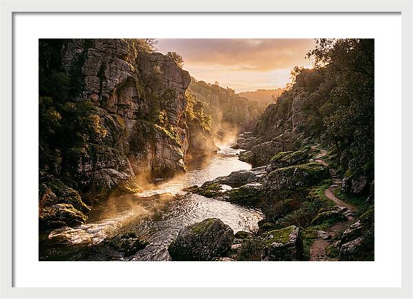 Vintgar Gorge Serenity