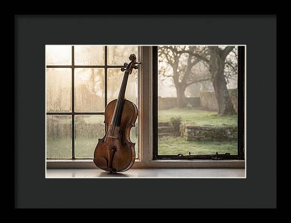 Violin By The Window