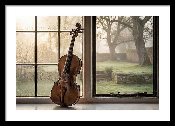 Violin By The Window