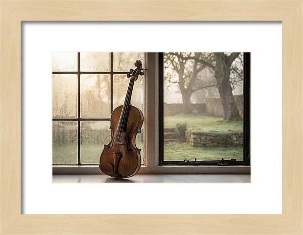 Violin By The Window