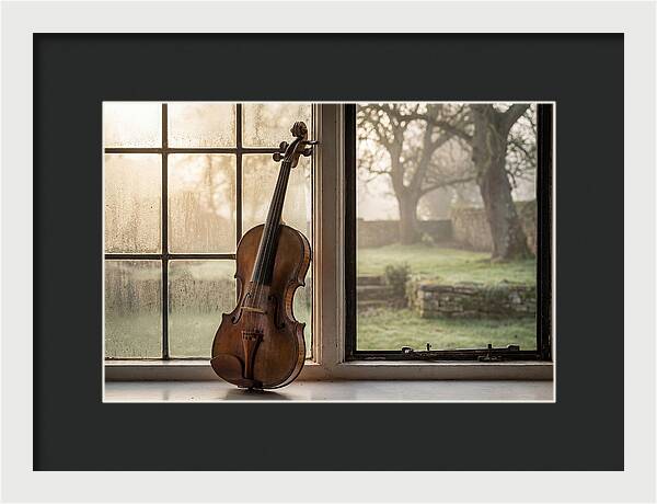 Violin By The Window