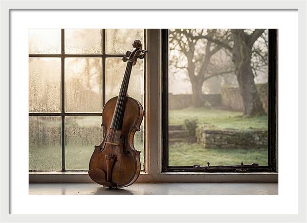 Violin By The Window